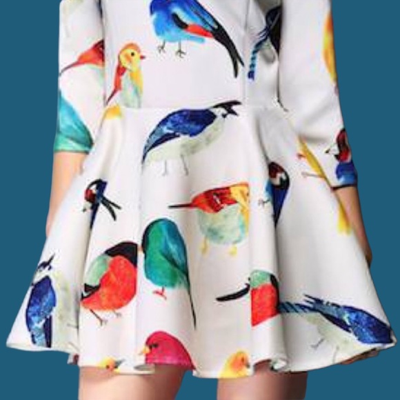 NWT White Peplum Drop Waist Multicolor Bird Print Scuba Mini Dress - Picture 8 of 10
